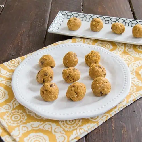 Sweet Potato Protein Bites | www.PancakeWarriors.com