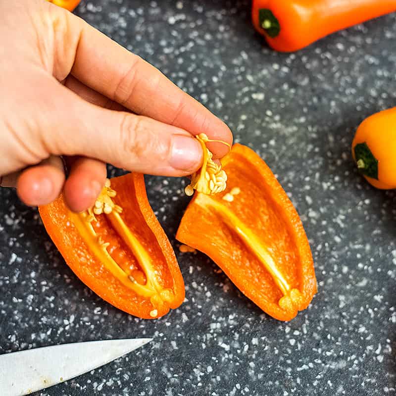A hand removing the seeds from a mini bell pepper. 