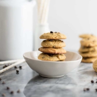 These gluten free dairy free chocolate chip cookies are going to be your new go-to recipe! They are grain free, gluten free and paleo friendly! #grainfree #glutenfree #cookies #dairyfree #chocolatechip | bitesofwellness.com
