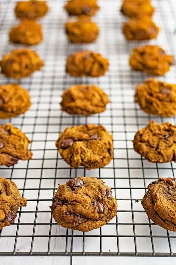 Healthy butternut squash chocolate chip protein cookies lined up on a black wire baking rack.