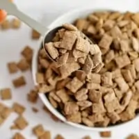 Bowl of protein puppy chow with a silver spoon scooping some out of the bowl.