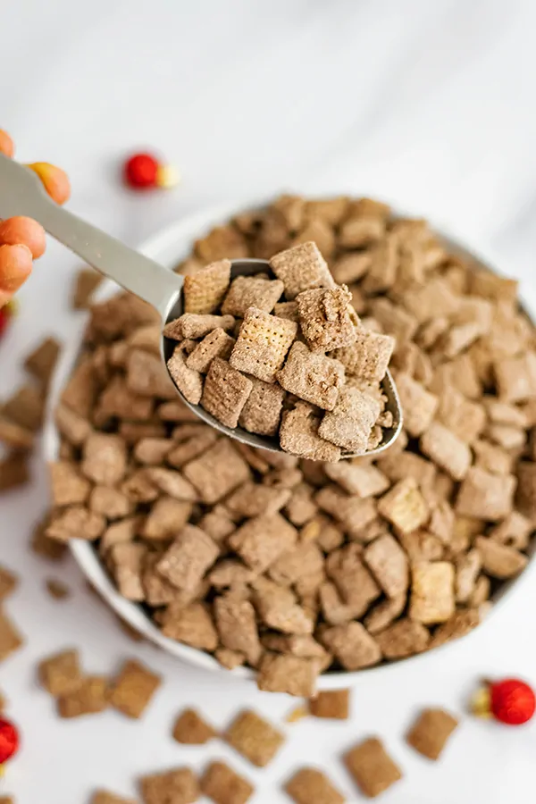 Bowl of protein puppy chow with a silver spoon scooping some out of the bowl.