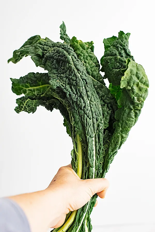 Hand holding a bunch of lacitno kale