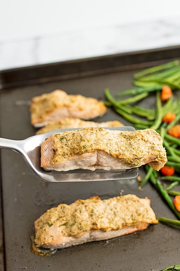 Spatula holding a tahini crusted salmon filet. 