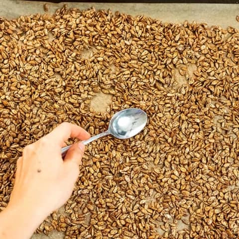 Spiced Sunflower Seeds | Bites Of Wellness