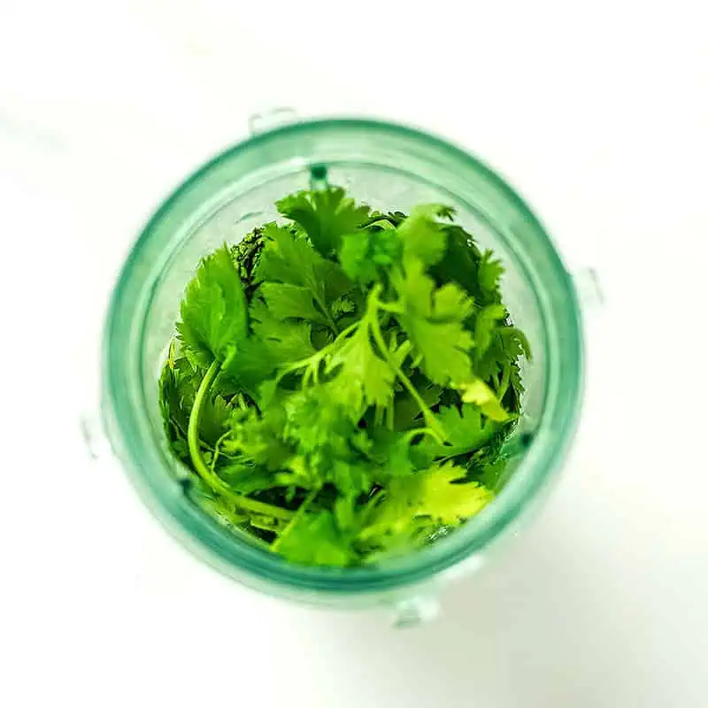 Cilantro in a blender cup.