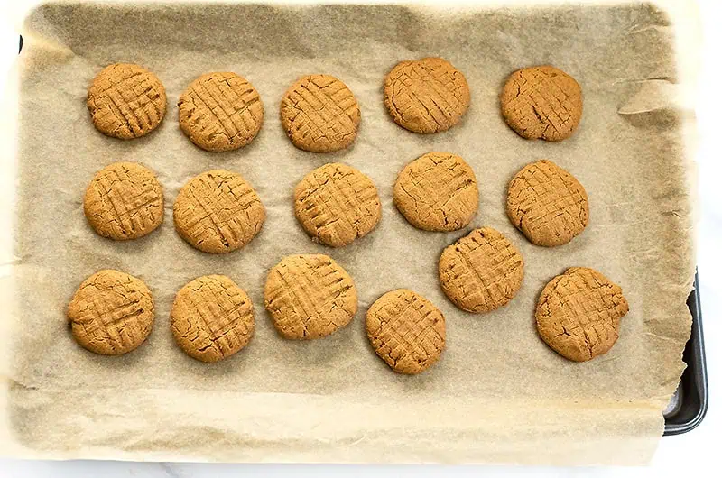 Vegan peanut butter protein cookies after baking.