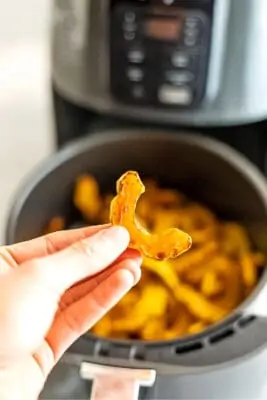 Air Fryer Delicata Squash