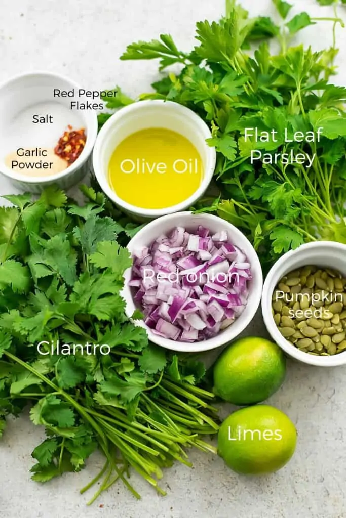 Ingredients to make cilantro chimichurri sauce.