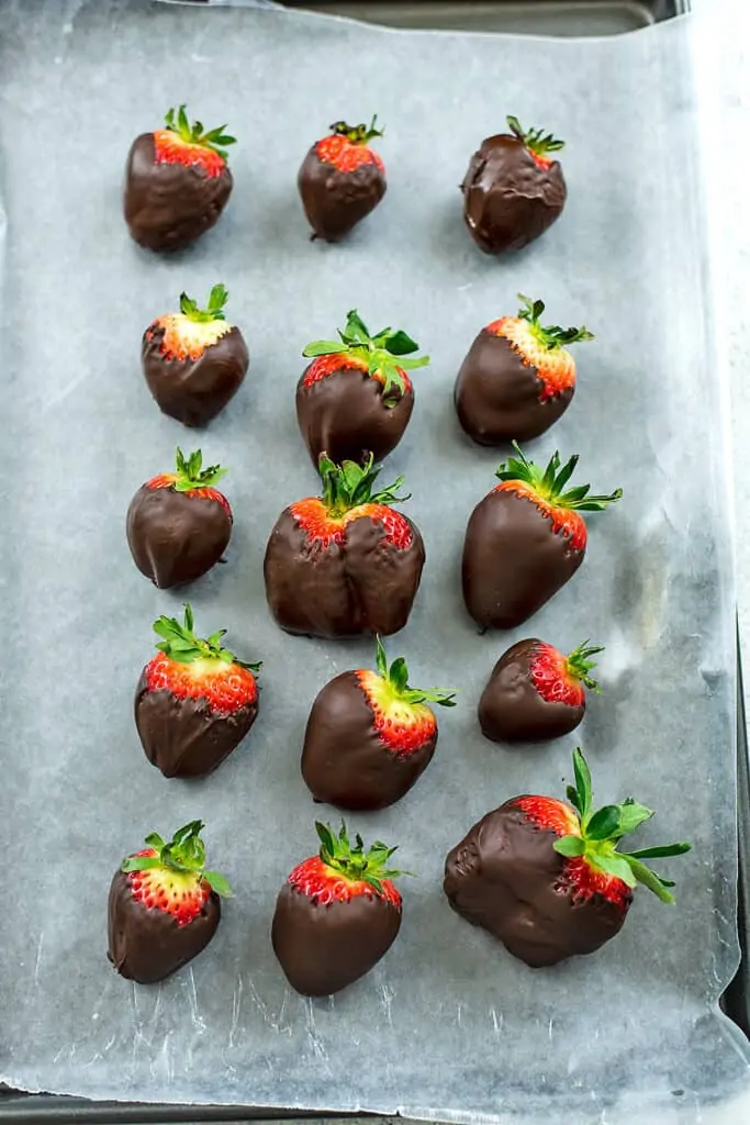 Strawberries on a baking sheet after being dipped in chocolate.