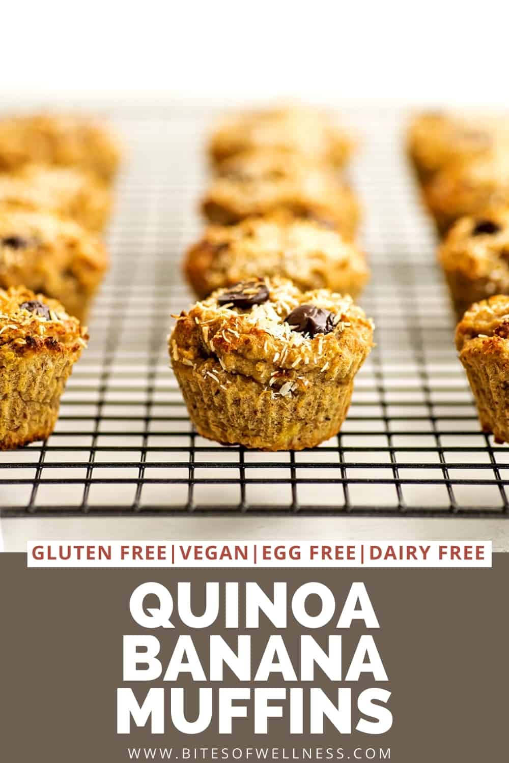 Quinoa banana muffins cooling on a wire cooling rack.