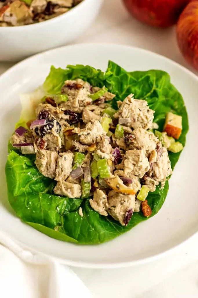 Cranberry pecan chicken salad on lettuce wrap on white plate.