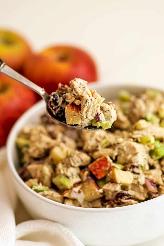 Spoonful of apple cranberry chicken salad.