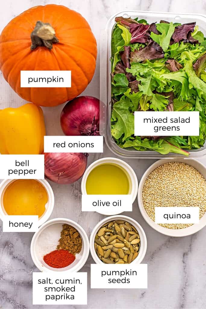 Ingredients to make quinoa pumpkin salad.