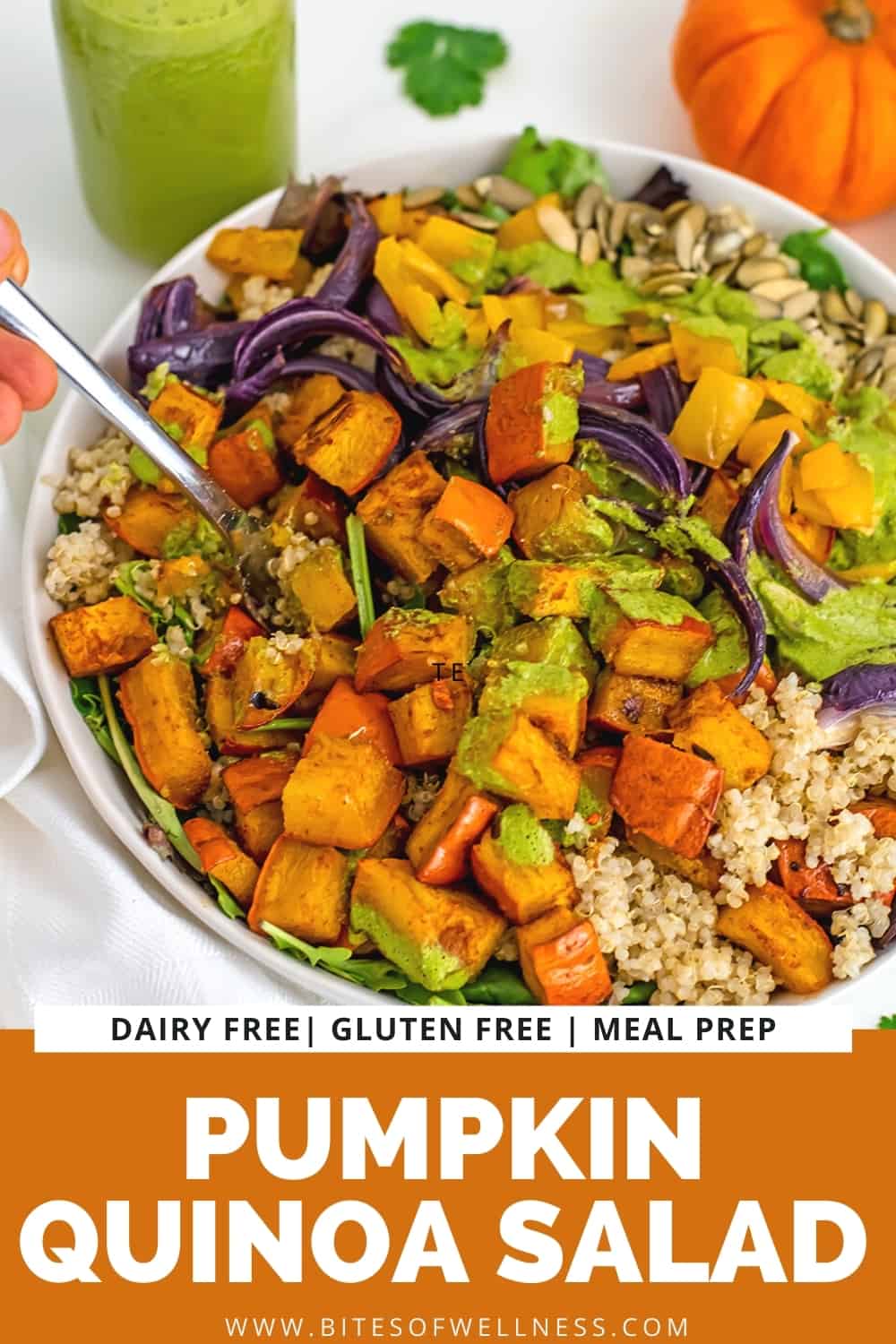 Quinoa Roasted Pumpkin Salad Perfect Fall Recipe Bites of Wellness