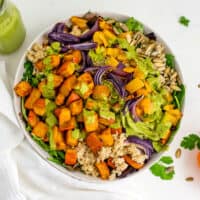 Pumpkin quinoa salad with cilantro lime dressing drizzled on top.