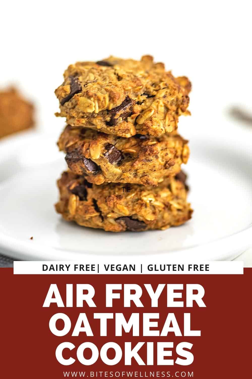Air Fryer Oatmeal Cookies Ready In 6 Minutes, Vegan Bites of Wellness