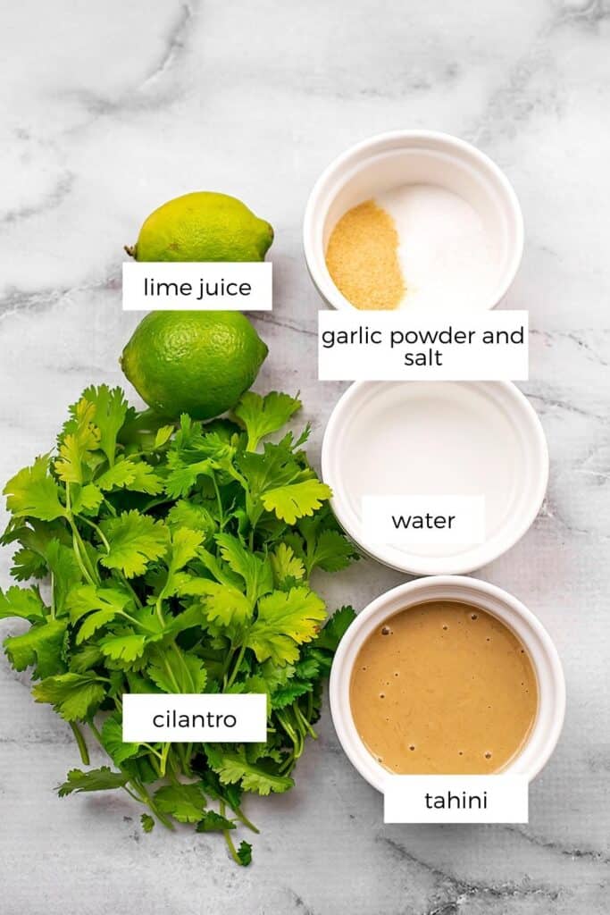Ingredients to make tahini cilantro dressing.