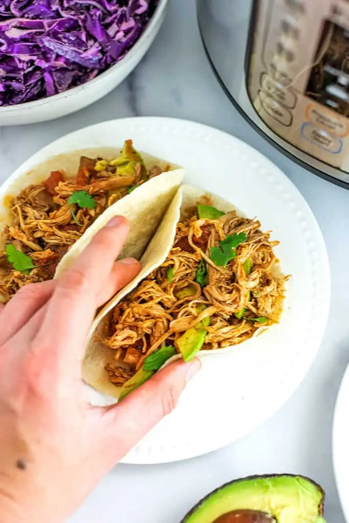 Hand holding Mexican shredded chicken tacos.