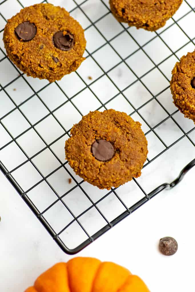 Gluten free pumpkin chocolate chip cookies on a wire cooling rack.