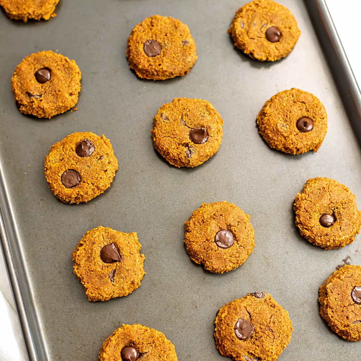 Gluten free pumpkin chocolate chip cookies on a baking sheet.