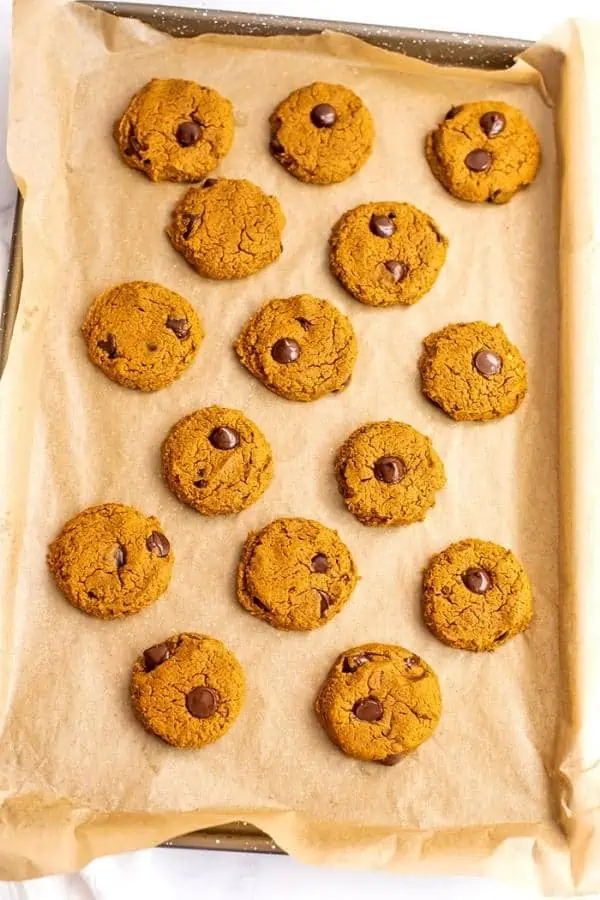 Baked pumpkin oat flour cookies on a parchment paper lined baking sheet.