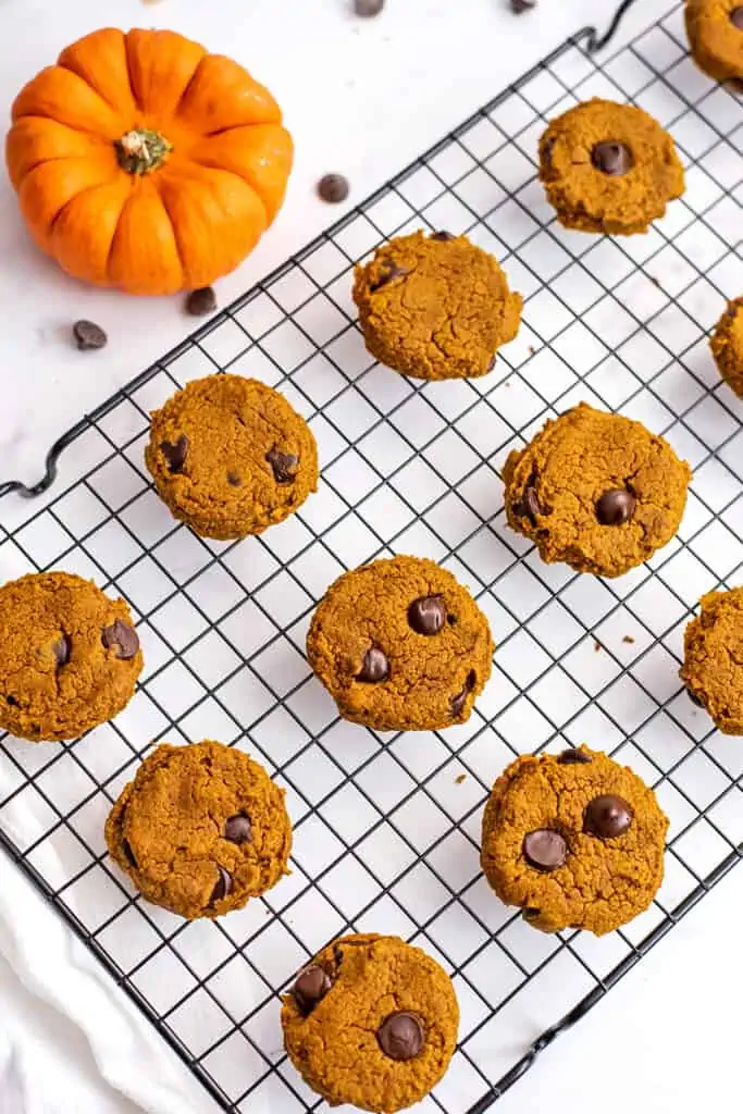 Oat flour pumpkin cookies on a wire cooling rack.