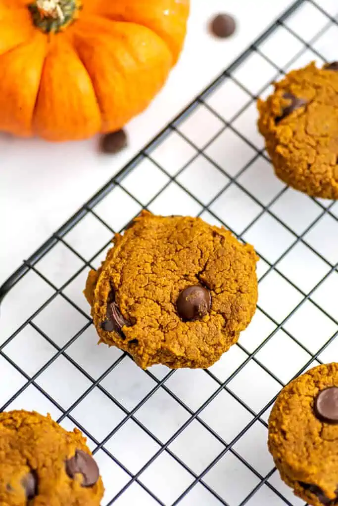 Oat flour pumpkin cookies on wire rack, with pumpkin on the side.