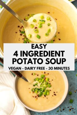 Large ladle filled with 4 ingredient potato soup.