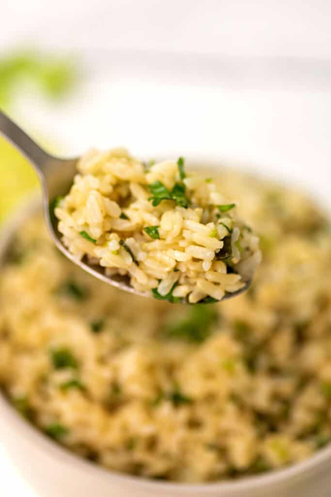 Spoonful of cilantro lime brown rice.