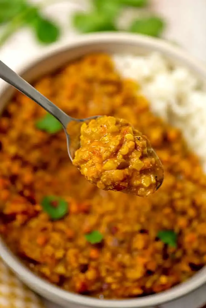 Spoonful of red lentil curry over a large bowl of curry and rice.
