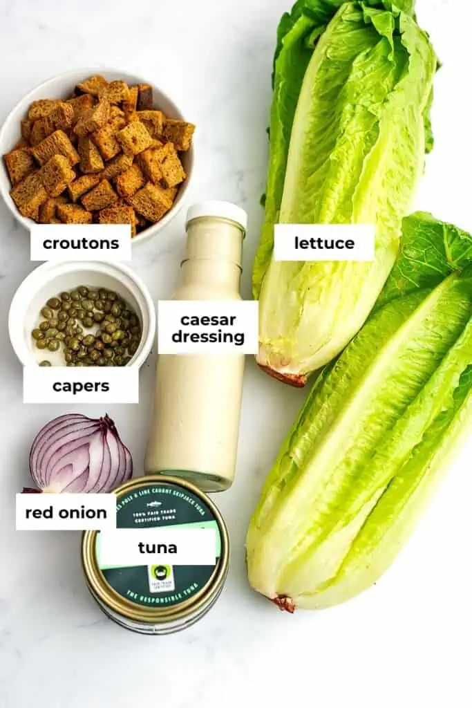 Ingredients to make caesar tuna salad.