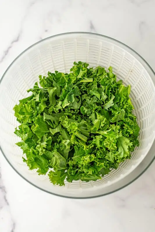 Chopped kale in salad spinner.
