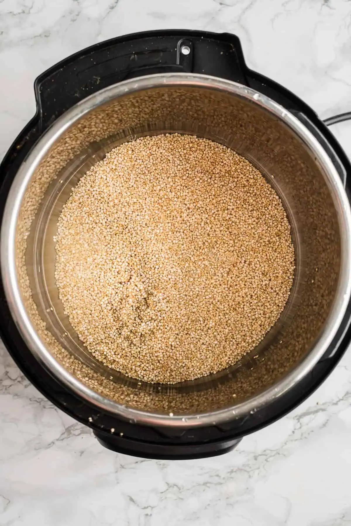 Quinoa in the instant pot before cooking.