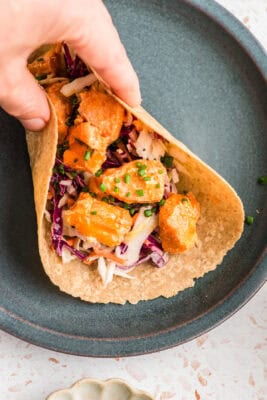 Buffalo salmon taco being picked up off a blue plate.